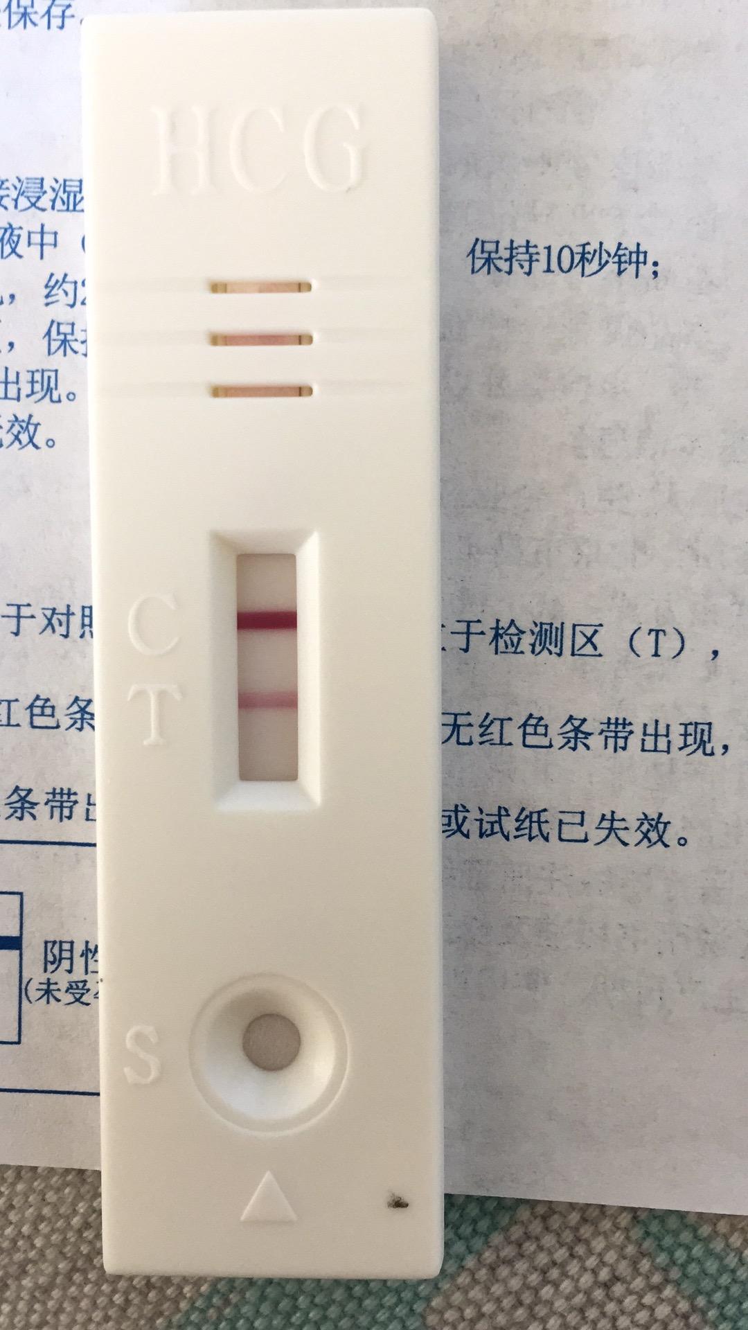 北京2人核酸阳性轨迹涉朝阳两学校.北京朝阳区5人核酸混检出现疑似阳性,涉事小区楼栋封闭？