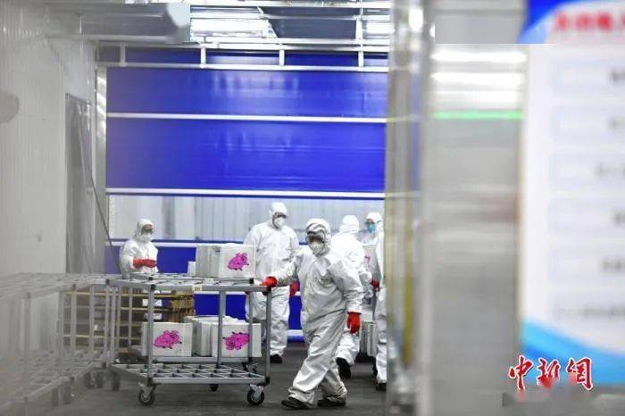 【哈尔滨援建方舱医院人员检出阳性,哈尔滨支援全国】