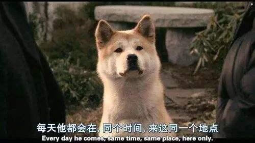江西万年疫情最新消息.万年县疫情？