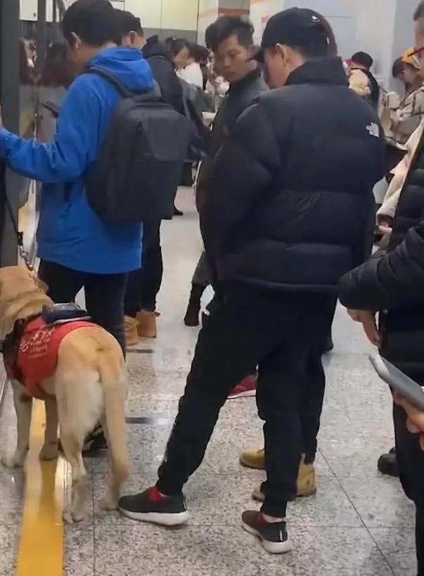 上海发布被骂/上海发布被骂的新闻