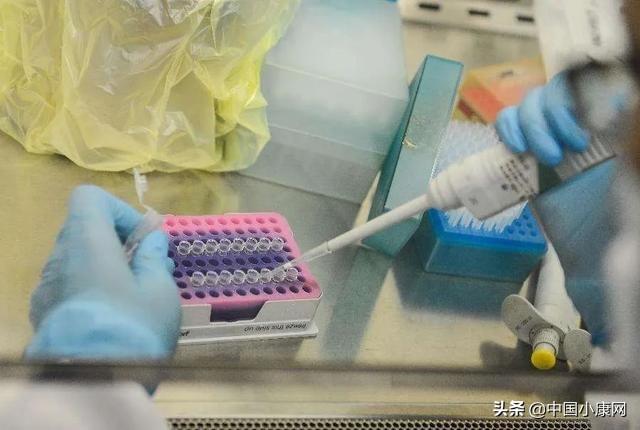 29日新增确诊病例31例/29日新增确诊病例31例什么意思