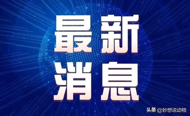 【兰州疫情最新,兰州疫情最新情况今日新增】