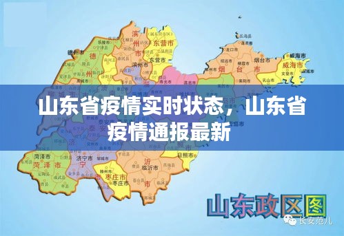 山东实时疫情通报(山东疫情实时报告)
