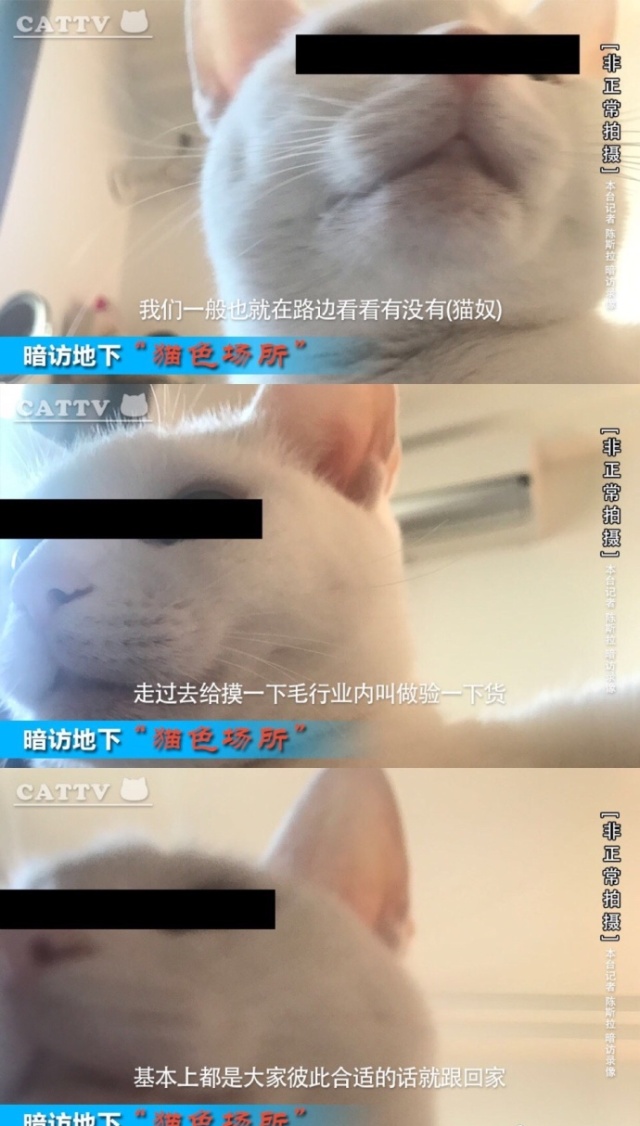 上海出现零星散发阳性感染者.上海出现零星散发阳性感染者了吗？