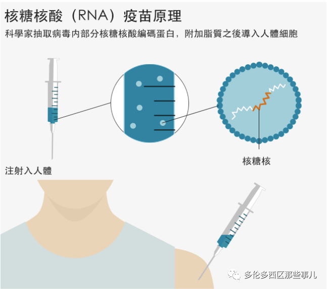 下月核酸不再免费了吗/下周核酸检测