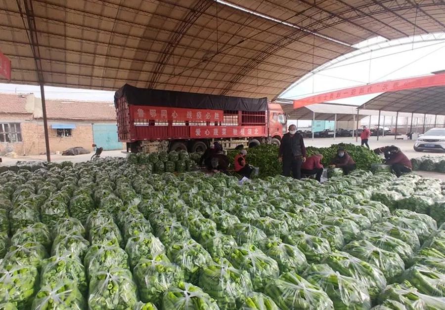 最新湖北疫情.最新湖北疫情风险等级评估报告？