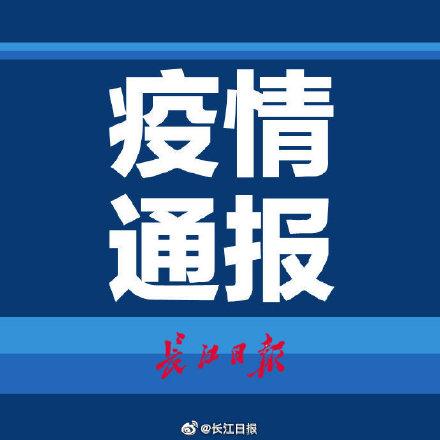 31省新增24例确诊.31省新增24例确诊1？