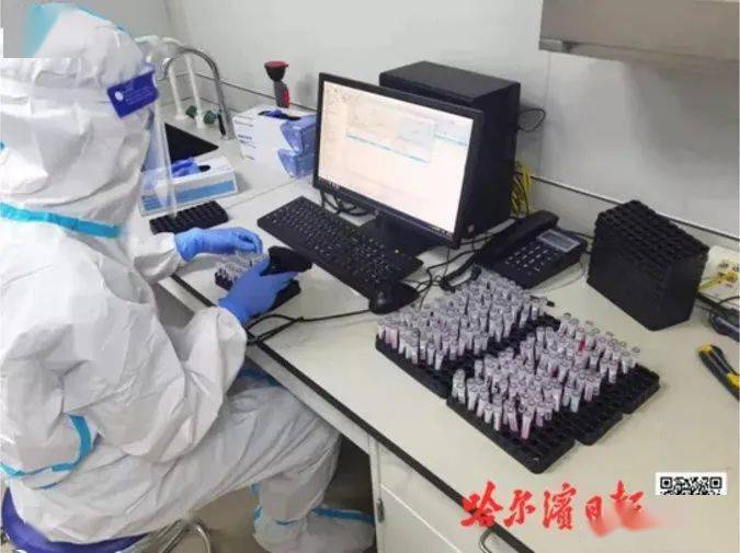 哈尔滨首轮核酸检测检出29例阳性.哈尔滨检出一例阳性？