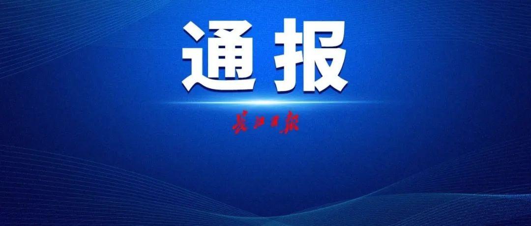 武汉新增确诊的简单介绍