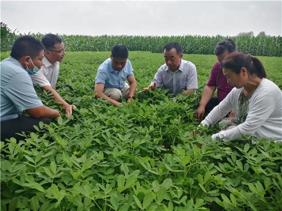 河南疫情扩散4地市/河南疫情各地市详细公布