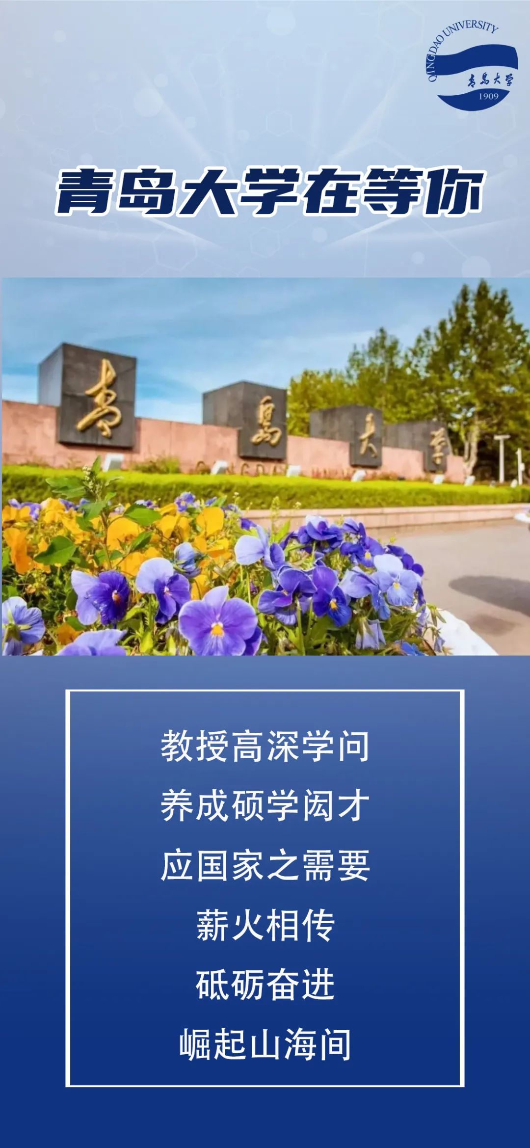 青岛新增/青岛新增大学