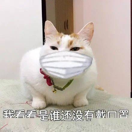 【黑龙江疫情最新情况最新消息,黑龙江疫情动态最新消息】