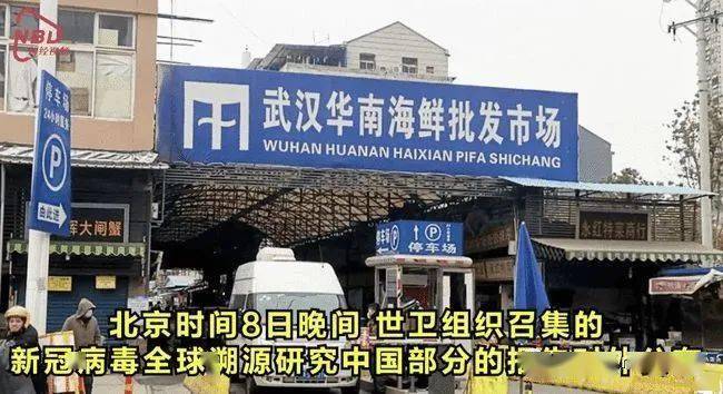 疫情发源地/疫情发源地武汉海鲜市场