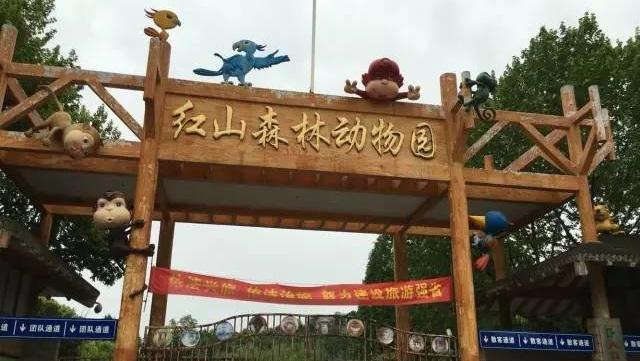南京有4个高风险区25个中风险区/南京有哪几个高风险区