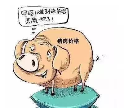 为何这波疫情居高不下?官方回应(这次疫情为什么持续那么久)