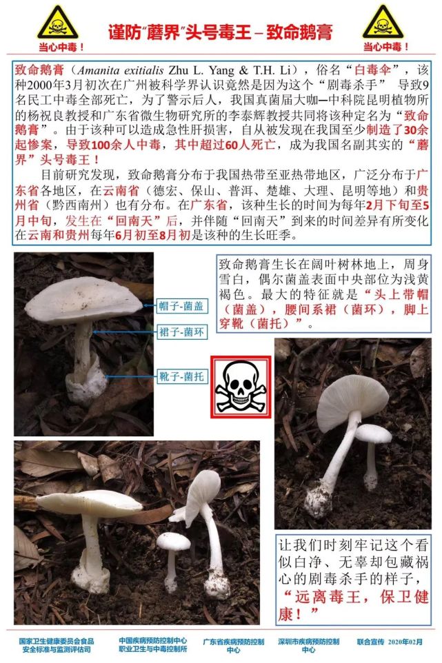 陕西的最新疫情.陕西最新疫情25人死亡？