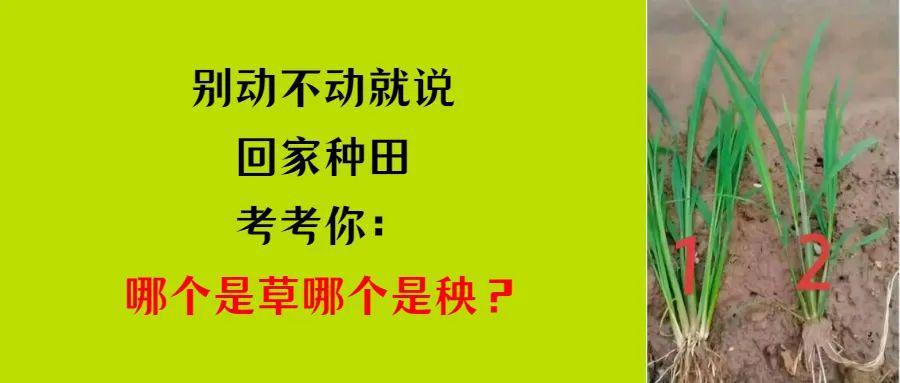 北京新增6例本土确诊2例无症状(北京新增5例本地确诊病例和1例无症状感染者)