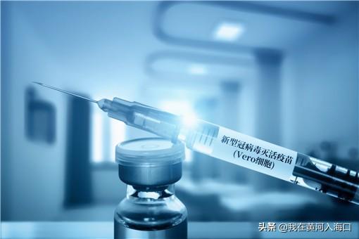 北京新冠/北京新冠疫苗有几种品牌