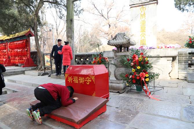 【今年春节如何返乡,今年春节如何返乡旅游】