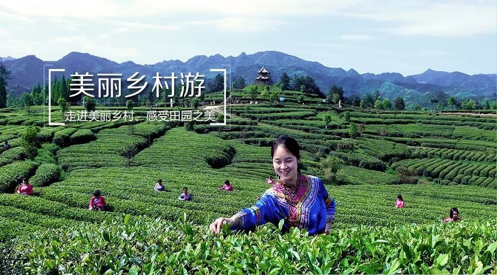 汉中宁强疫情/汉中宁强宣传片