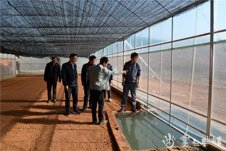 【江苏徐州疫情最新消息,江苏徐州疫情最新消息双沟镇】