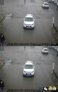 石家庄限号查询(石家庄 限号查询)