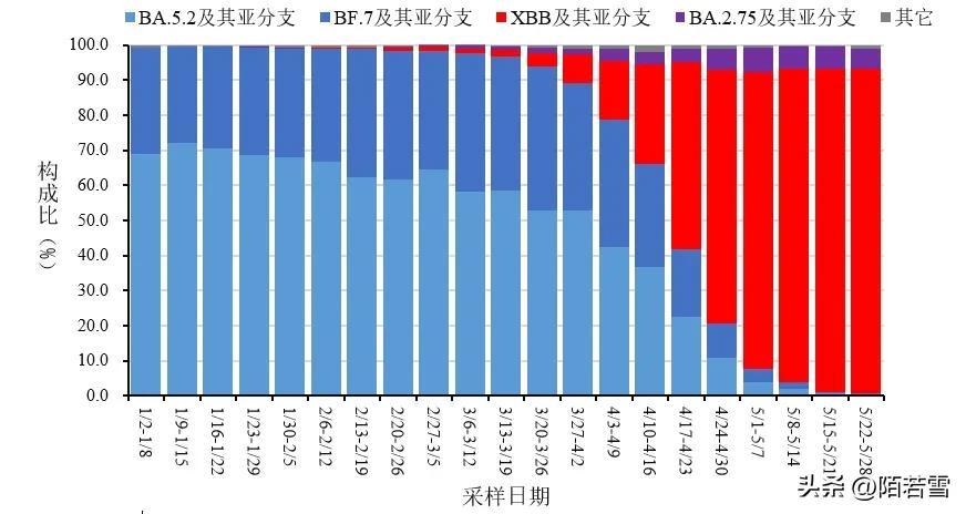 【本土感染连续两天超500例涉16省份,本土病例已破千例】