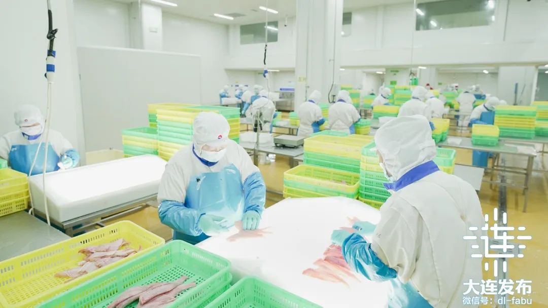 大连海产品企业外环境中检出病毒.大连新冠是哪个海产品加工厂？