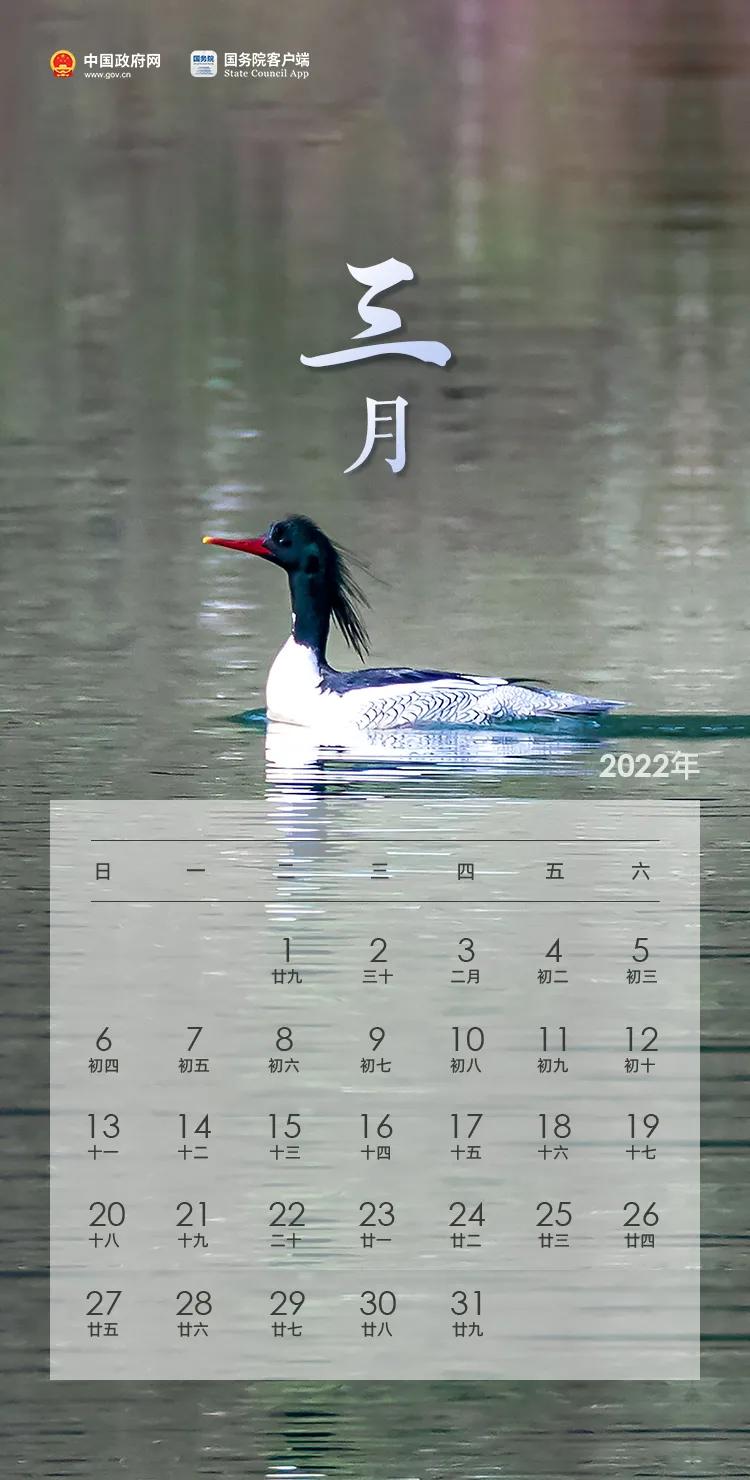 【最新放假通知!连休5天,最新消息放假5天】