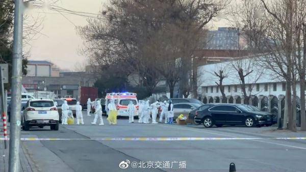 上海辟谣两棵树阳性被隔离(上海一棵树刷屏了)