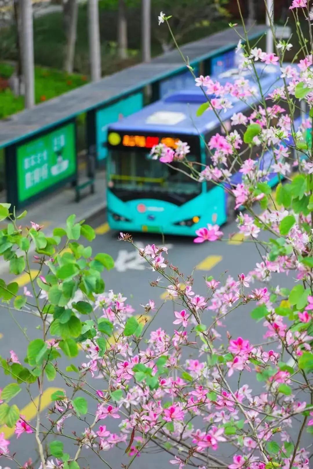 【深圳疫情最新通知,深圳疫情最新详细】
