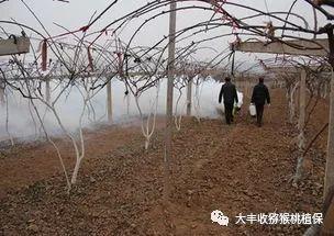全国中高风险地区降至个位数/中高风险 全国