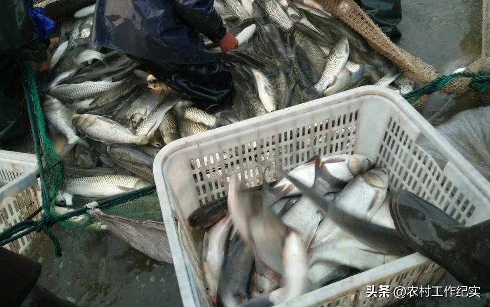 广东本地疫情形势如何(广东本地疫情形势如何w)