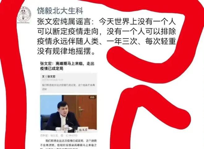 张文宏:第二波感染高峰在5月至6月/张文宏称第二波疫情是必然的 视频