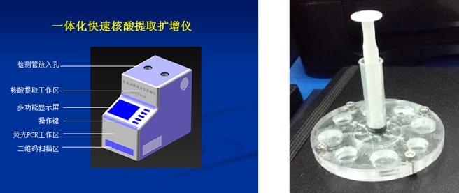 上海一核酸检测机构出现无症状感染者系谣言(上海新冠病毒核酸检测)