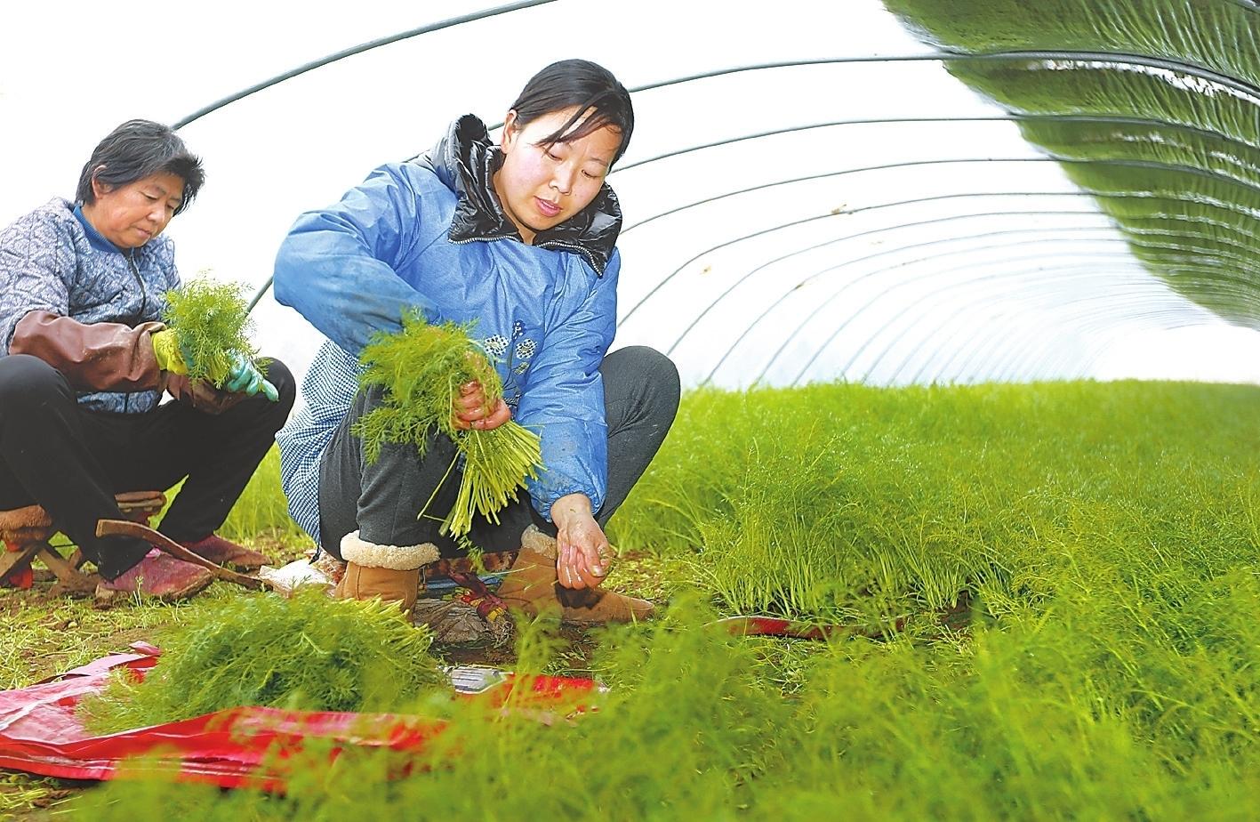 衡水疫情最新数据消息(衡水疫情最新情况)