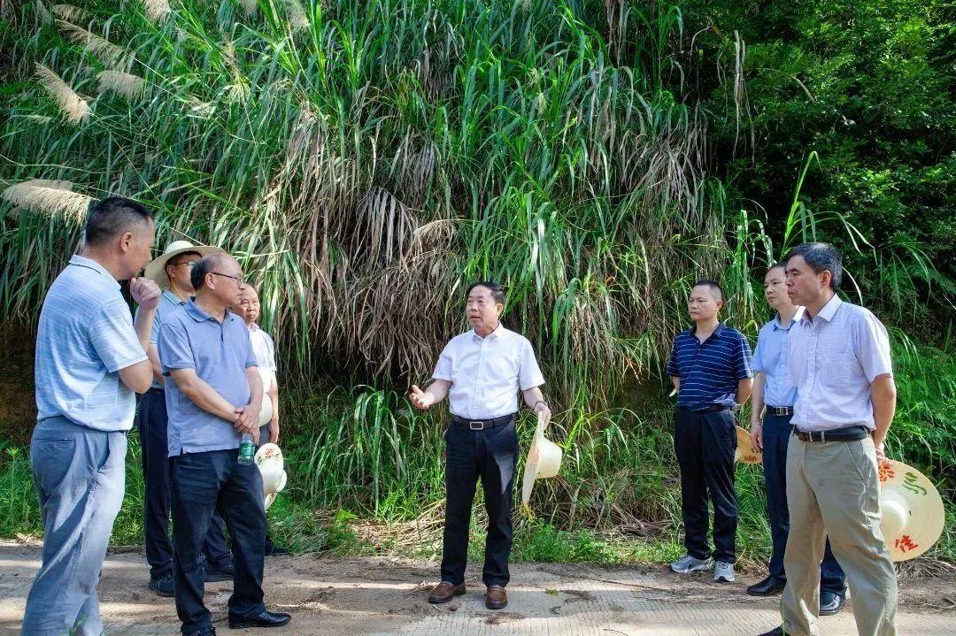 福建疫情基本被有效控制.福建疫情管理规定？