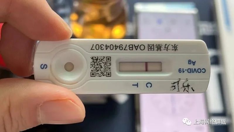 上海12件样本呈阳性(上海 阳性)