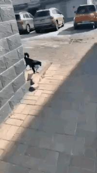 现在疫情怎么样了/现在疫情咋样啊