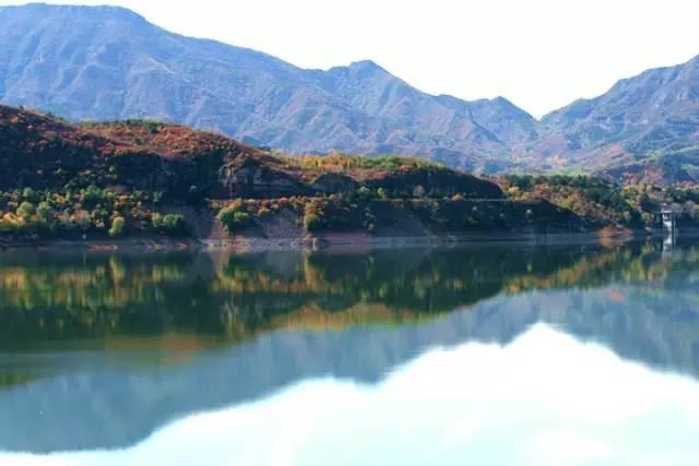河北现有本土确诊309例(河北现有本土病例)