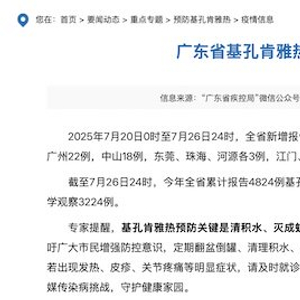 【新增病例,基孔肯尼亚热新增病例】
