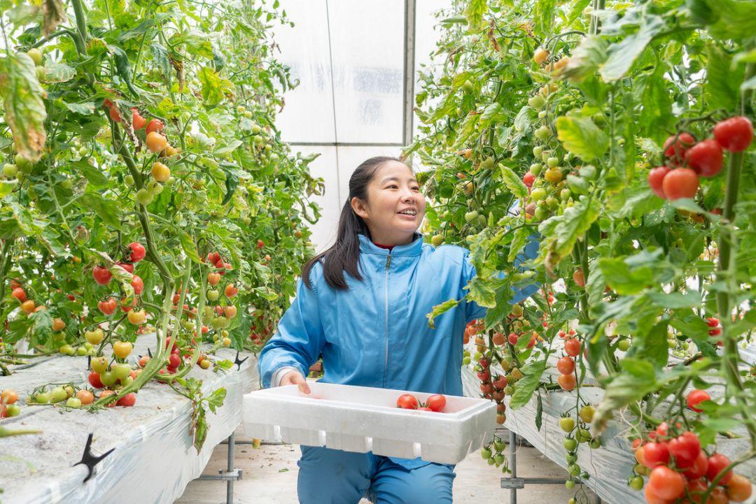 【河北石家庄疫情最新数据消息,河北石家庄疫情最新数据消息今天新增】