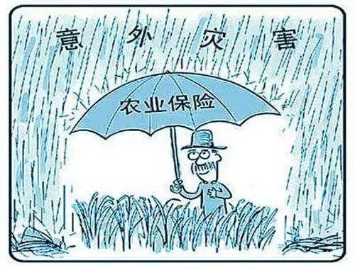 【大连市新增14个中风险地区,大连市中风险地区目录】