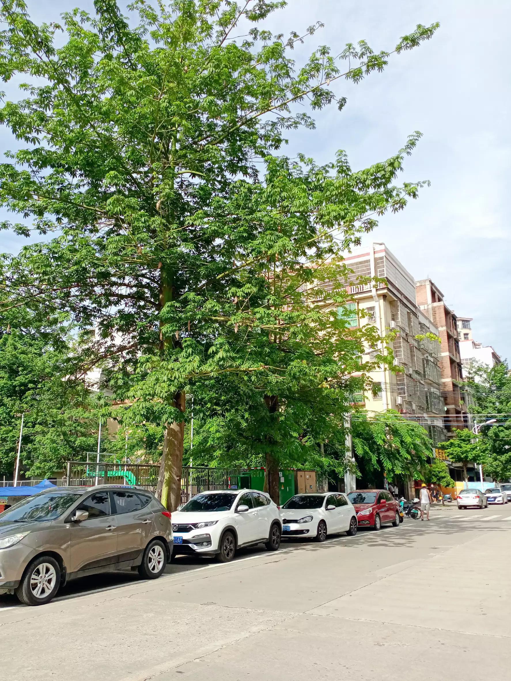 【全国中高风险区清零,全国疫情中高风险区清零】