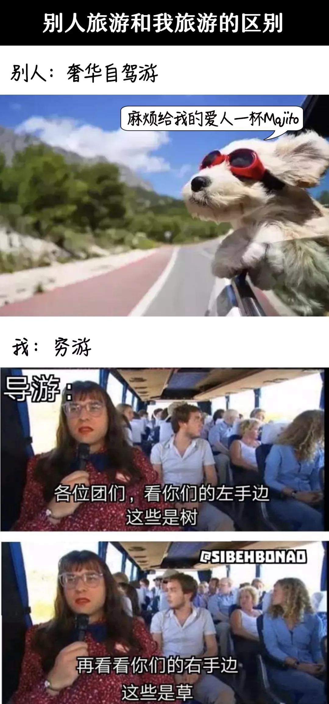 【上海新增3例社会面阳性,上海发现阳性】