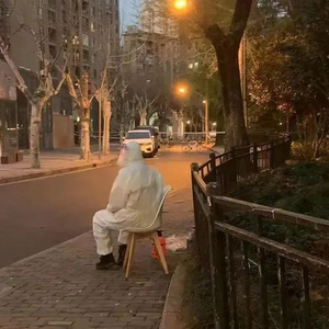 上海辟谣两棵树阳性被隔离.上海双树？