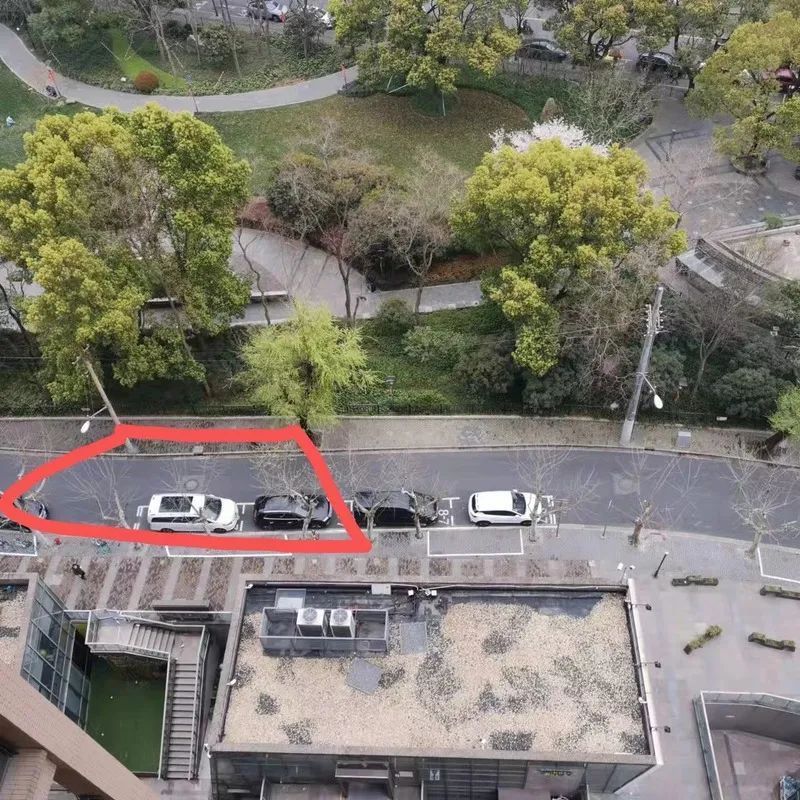 上海辟谣两棵树阳性被隔离.上海双树？