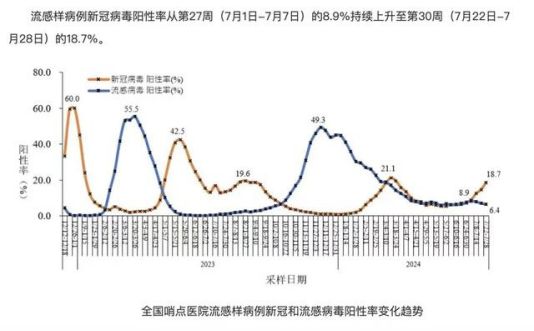 疫情新增/疫情新增情况最新今天2024年