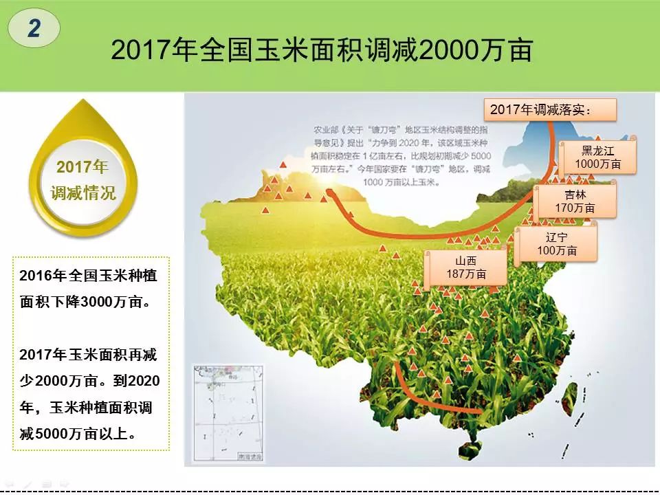 31省新增本土40例.31省新增本土40例用绿茶洗脸？