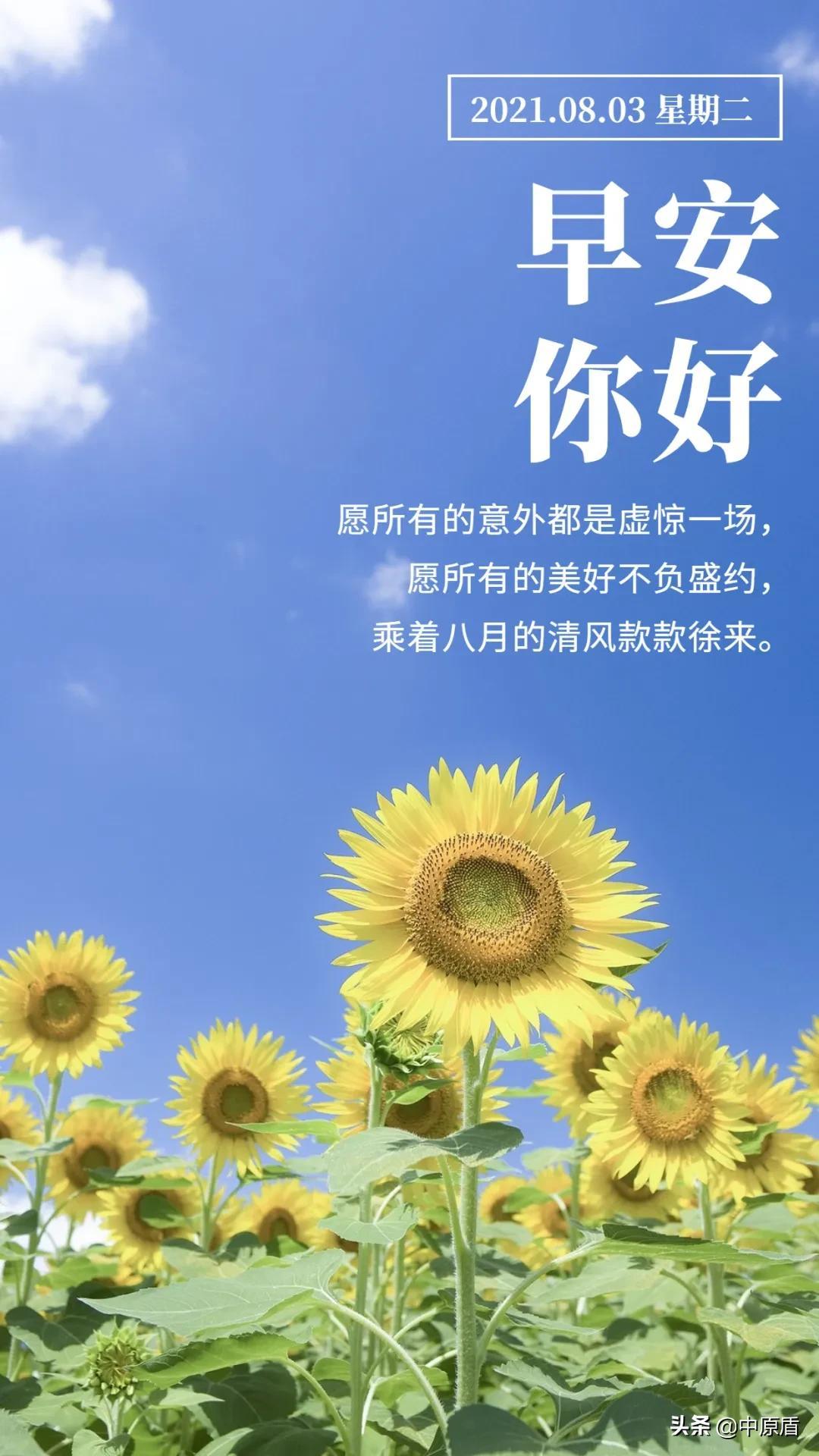 郑州通报感染者详情/郑州通报感染者详情轨迹